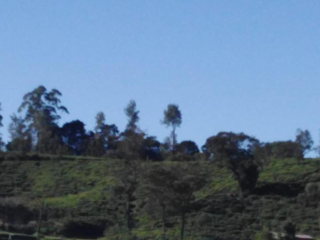 Frosty Heaven Guest House Nuwara Eliya Exteriér fotografie