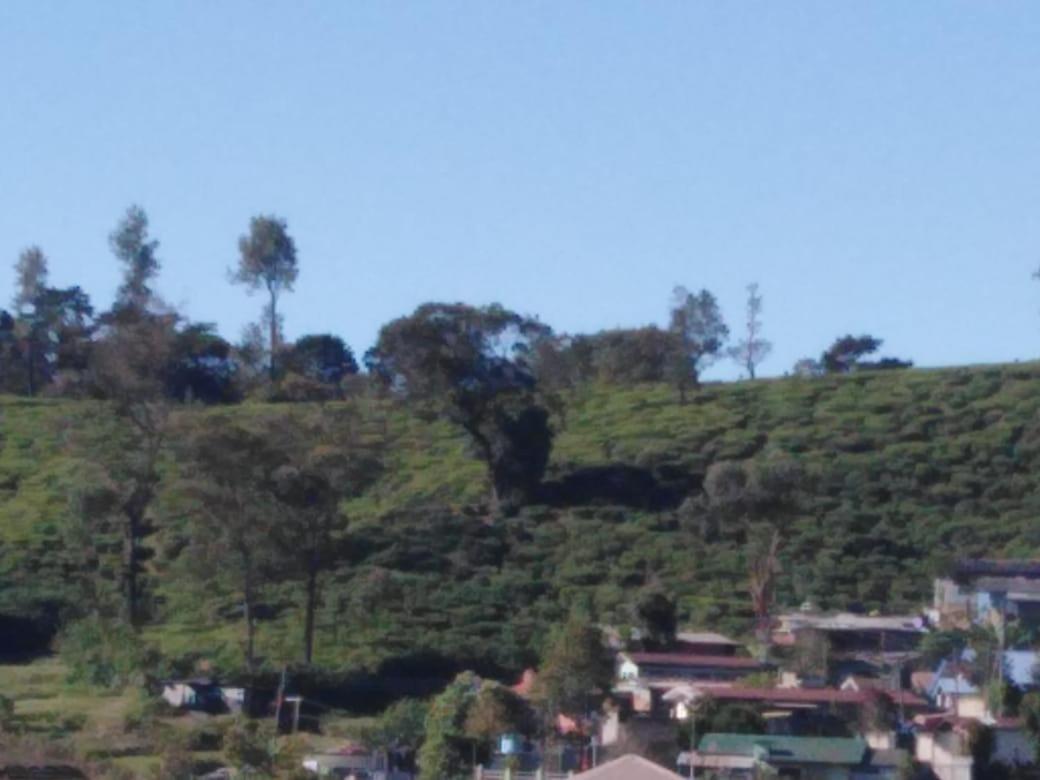 Frosty Heaven Guest House Nuwara Eliya Exteriér fotografie